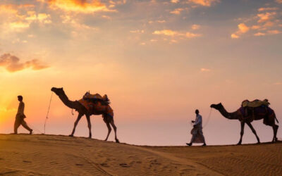 Rajasthan7 days / 10 days